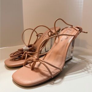 Wild Pair Nude Strappy Heels with Clear Block Heel‎